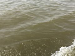 -哈素海