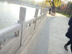 -迎泽公园