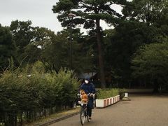 -三鹰之森吉卜力美术馆