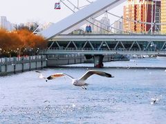 -天津之眼摩天轮