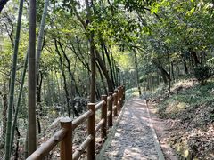 -上海佘山国家森林公园天马山园