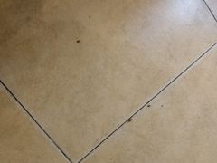 -萨莉亚意式餐厅(彩悦城店)