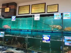 水产区-南海渔家•海鲜•正宗海南菜(海棠湾店)