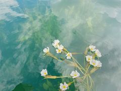 -丽江泸沽湖景区