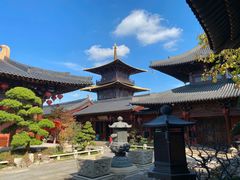 -广富林郊野公园