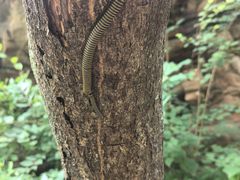 -湖洞水自然风景区