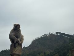-黔灵山公园