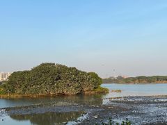 -海珠湖公园