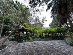 -西湖公园(鼓楼区)