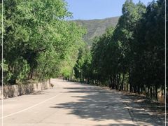 -北京十三陵国家森林公园蟒山景区