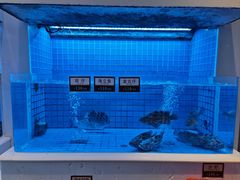 -金苑海鲜酒家(来魅力店)