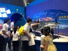 -烟台海昌鲸鲨海洋公园