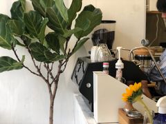 -red donkey coffee