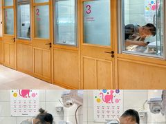 -帕帕拉兹宠物(亚洲旗舰店)