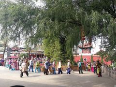 -大槐树寻根祭祖园