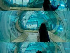 -福州罗源湾海洋世界旅游区