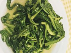 茼蒿-吉事利茶餐厅