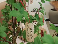 -Reset Coffee 与海咖啡
