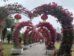 -万绿园