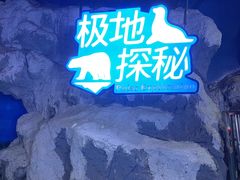 -蓬莱欧乐堡海洋极地世界