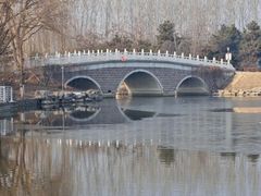 -大兴滨河森林公园