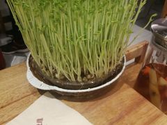 -好彩猪肚鸡(正弘城店)