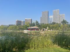 -西海子公园