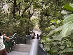 -佛山华盖山公园