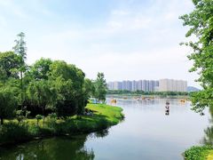 -洋湖国家湿地公园