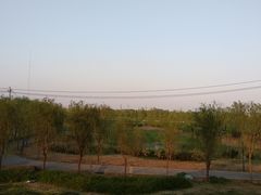 -园博园(地铁站)