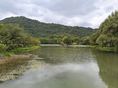 -八卦田遗址公园