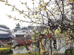 -江宁织造博物馆