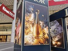 -Dior迪奥(上海世茂广场店)