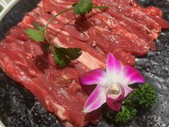 -额尔敦传统涮火锅·冰煮羊(铁东店)