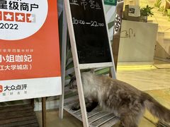 -董小姐咖妃·咖啡·简餐.意面(松江大学城店)