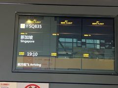 -上海浦东国际机场-T2航站楼