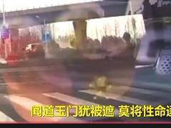 -老槐树煎包