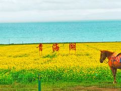-青海湖国家重点风景名胜区