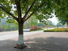 -金海湾滨江公园