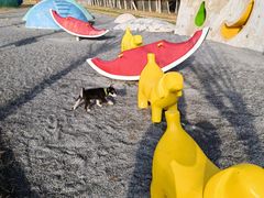 -北京美神宫艺术主题温泉酒店