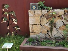 -昆山城市生态森林公园