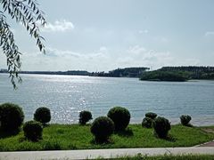 -丁香湖公园