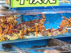 -王四营海鲜市场