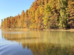 -上海海湾国家森林公园