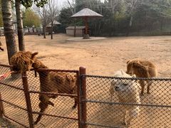 -大连森林动物园