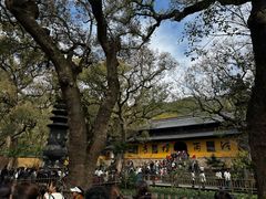 -普陀山风景名胜区-法雨禅寺