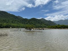 -大九湖