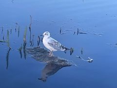 -花湖生态旅游区