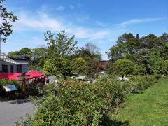 -中国大熊猫保护研究中心雅安碧峰峡基地