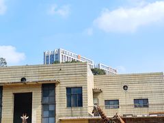 -成都动物园